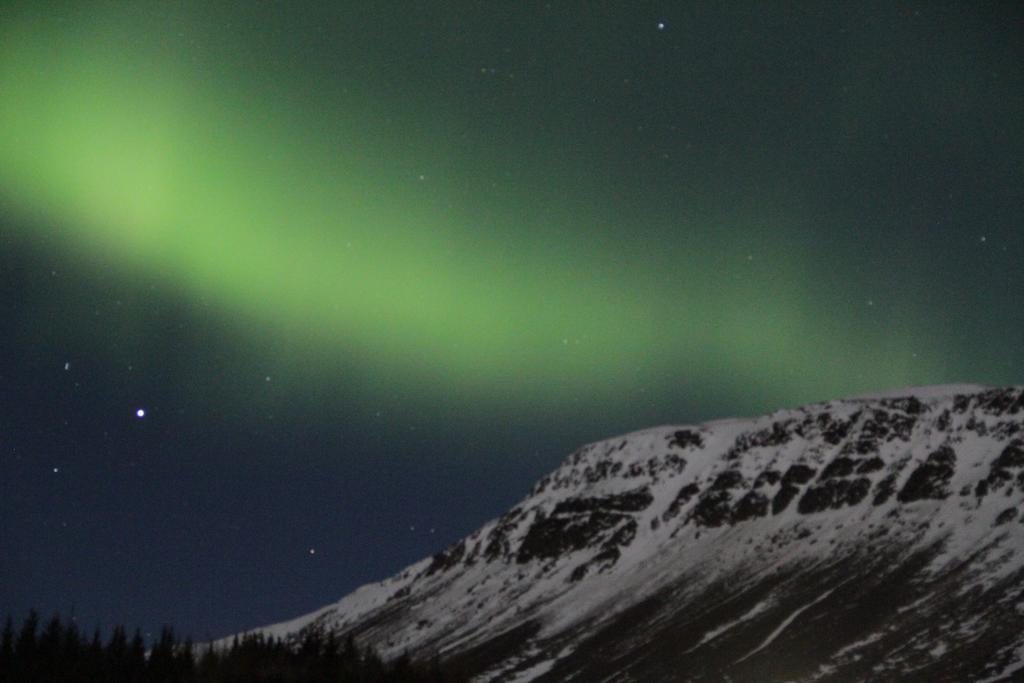 Guesthouse Hof In Vatnsdalur Hof i Vatnsdal Eksteriør bilde