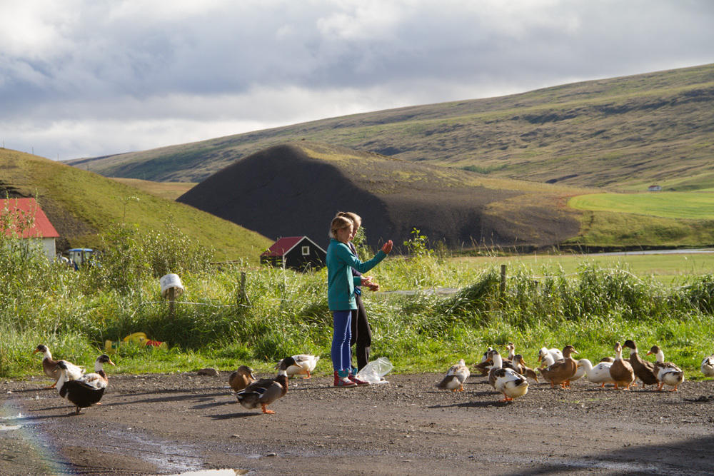 Guesthouse Hof In Vatnsdalur Hof i Vatnsdal Eksteriør bilde