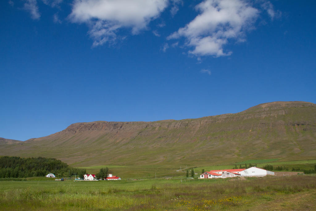 Guesthouse Hof In Vatnsdalur Hof i Vatnsdal Eksteriør bilde