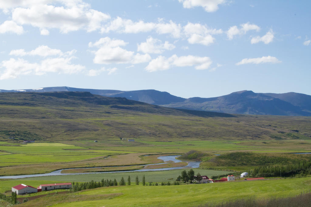 Guesthouse Hof In Vatnsdalur Hof i Vatnsdal Eksteriør bilde