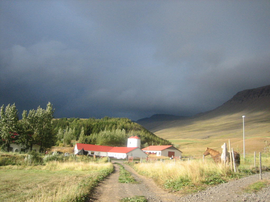 Guesthouse Hof In Vatnsdalur Hof i Vatnsdal Eksteriør bilde