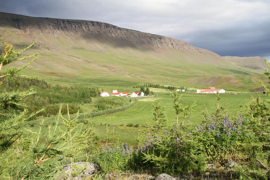 Guesthouse Hof In Vatnsdalur Hof i Vatnsdal Eksteriør bilde