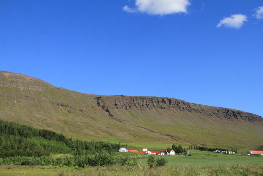 Guesthouse Hof In Vatnsdalur Hof i Vatnsdal Eksteriør bilde