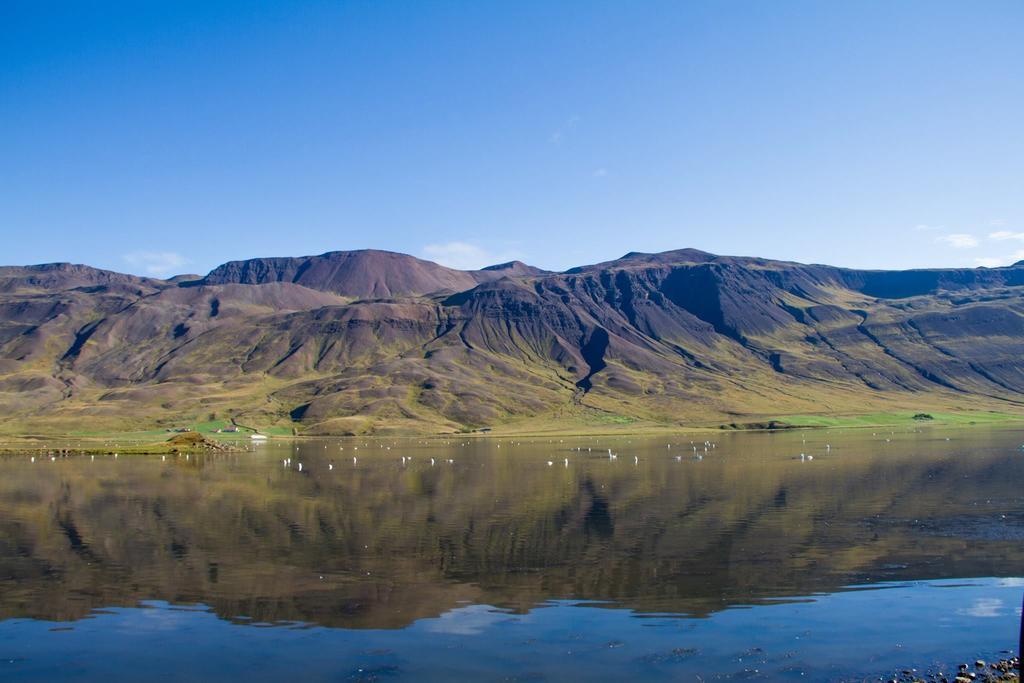 Guesthouse Hof In Vatnsdalur Hof i Vatnsdal Eksteriør bilde