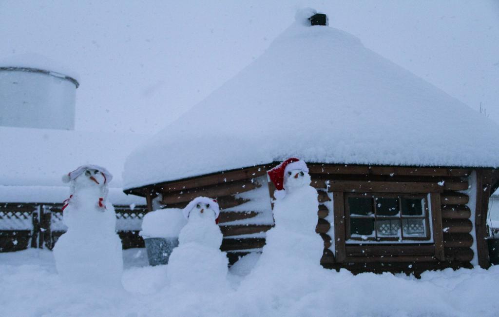 Guesthouse Hof In Vatnsdalur Hof i Vatnsdal Eksteriør bilde