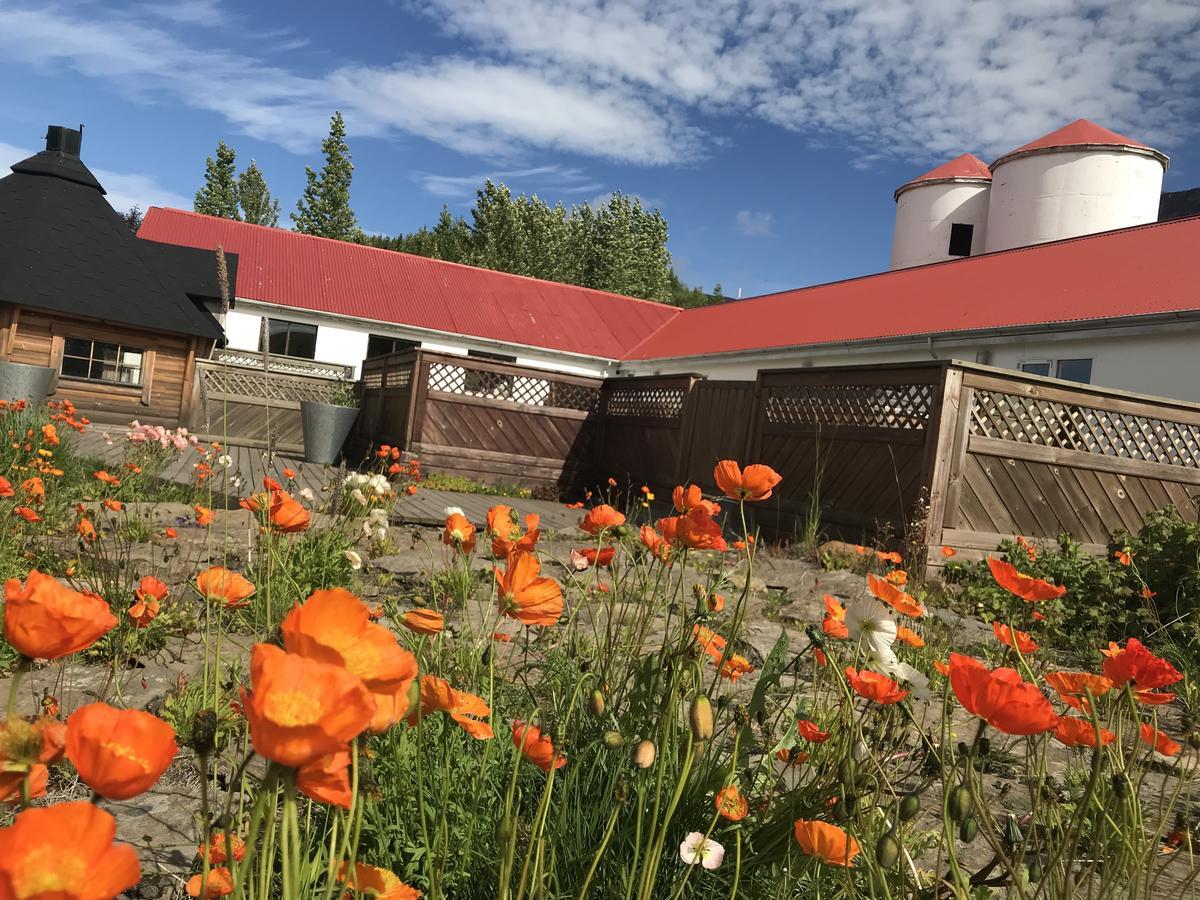 Guesthouse Hof In Vatnsdalur Hof i Vatnsdal Eksteriør bilde